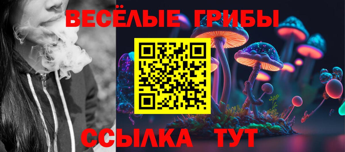 Псилоцибиновые грибы мухоморы Мичуринск